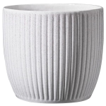 Belice Delight Χρώμα Coconut