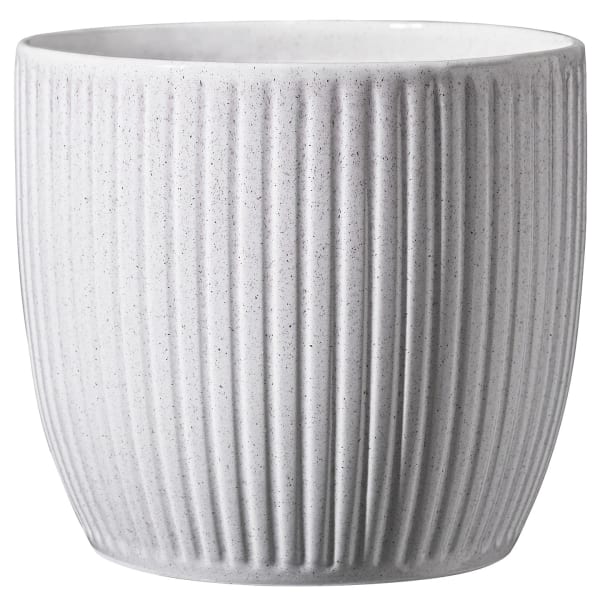 Belice Delight Χρώμα Coconut - Image 1