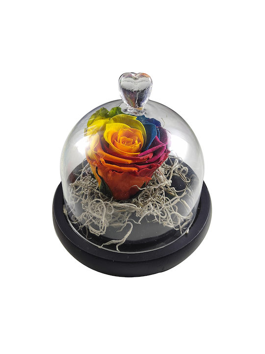 fixedratio_20220831144936_pantotino_triantafyllo_12cm_g5031rb_se_gyala.jpg Forever rose rainbow σε καμπάνα 10*11 - Image 1