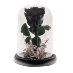 Forever rose black σε γυάλα