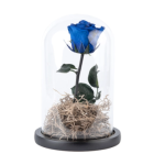 Forever rose blue σε γυάλα