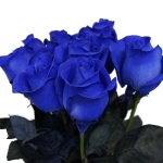Μπλέ τριαντάφυλλο -Blue rose