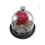 Forever rose red σε καμπάνα 10*11