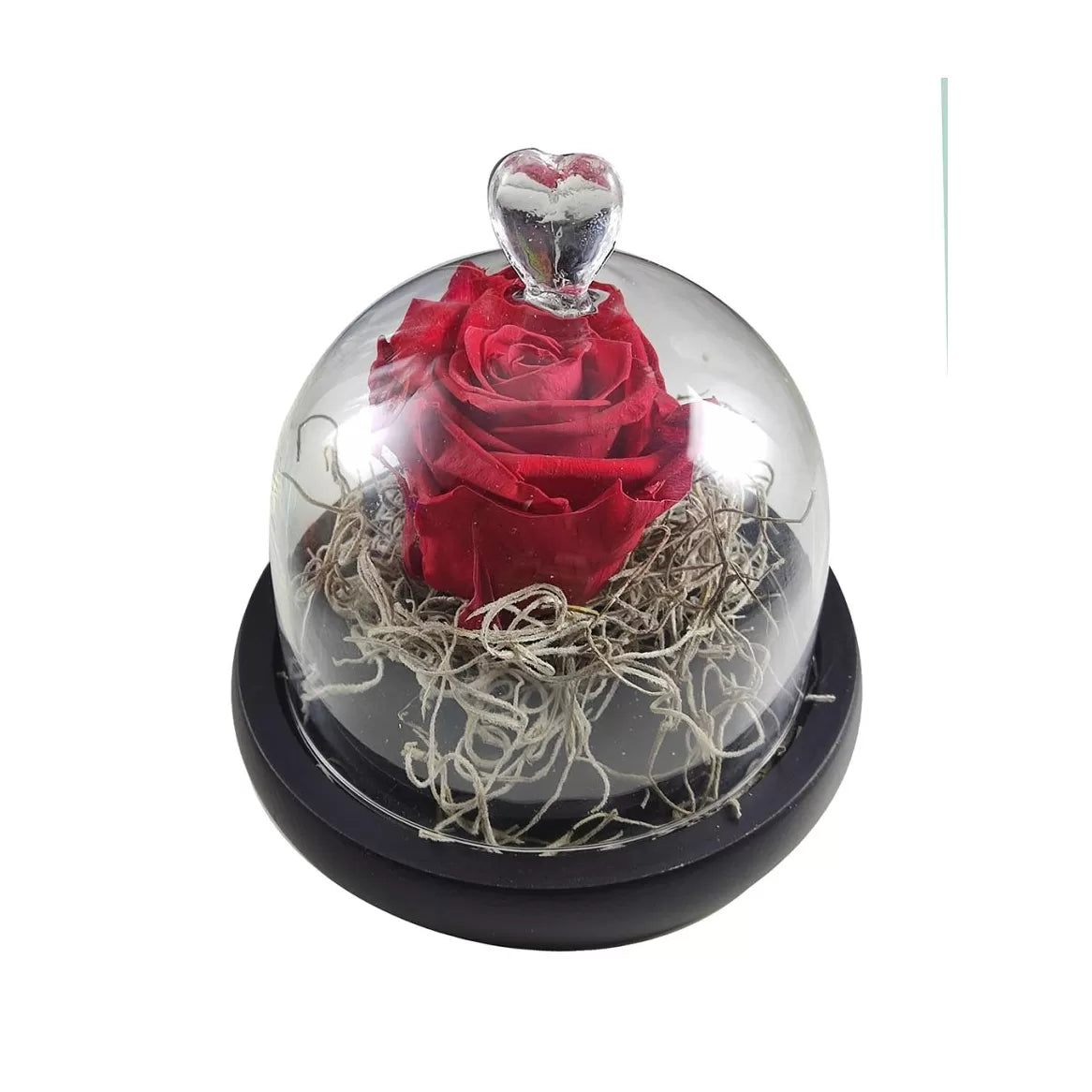 processed-cb8f8df8-eb7a-42d7-be58-1585e2ec8141_Wo6XReEc.jpg Forever rose red σε καμπάνα 10*11 - Image 1